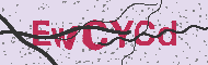 Captcha認証コード